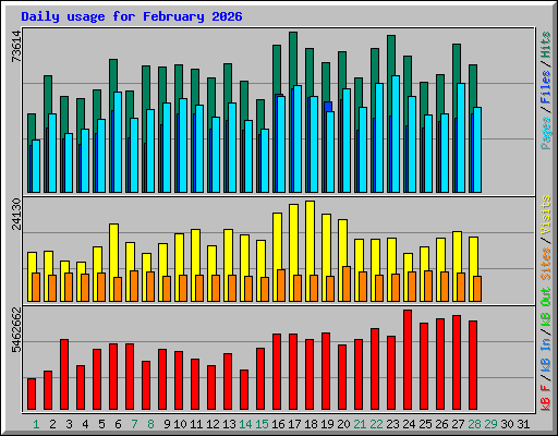 Daily usage for February 2026