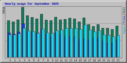 Hourly usage for September 2025