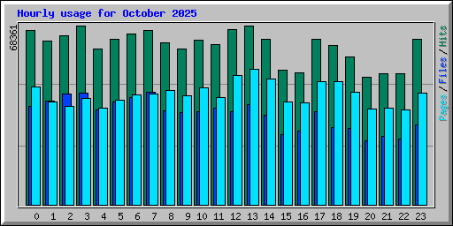 Hourly usage for October 2025