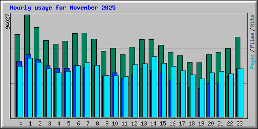 Hourly usage for November 2025