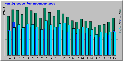Hourly usage for December 2025