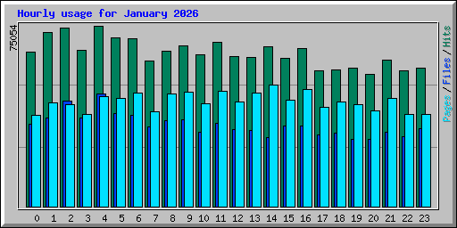 Hourly usage for January 2026