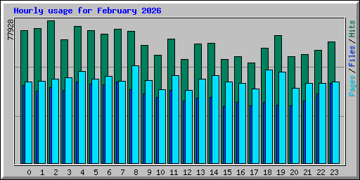 Hourly usage for February 2026