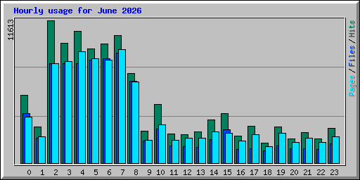 Hourly usage for June 2026