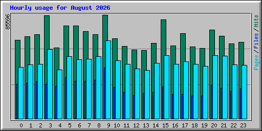Hourly usage for August 2026