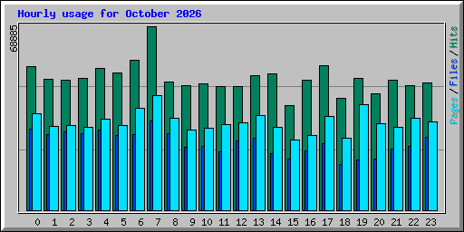 Hourly usage for October 2026