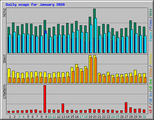 Daily usage for January 2026