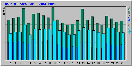 Hourly usage for August 2026